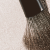Vista™ Makeup Brush Set
